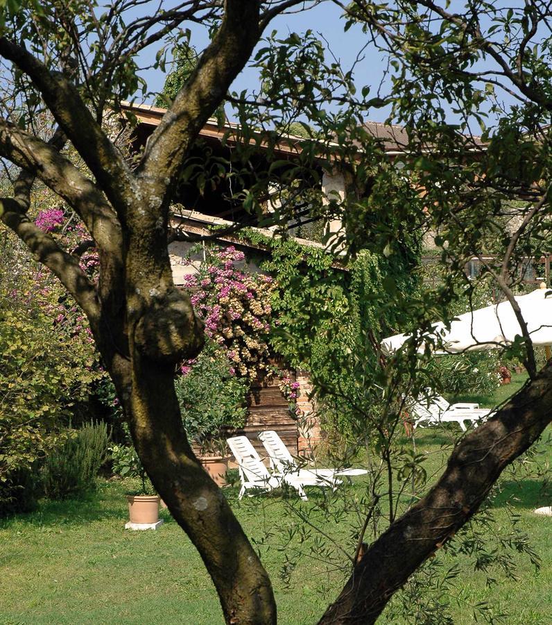 Hotel Belvedere Torri Del Benaco Exteriör bild